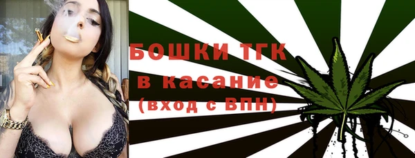 мдпв Горно-Алтайск
