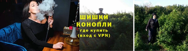 твердый Горняк