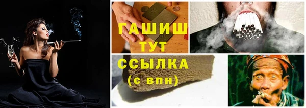 твердый Горняк