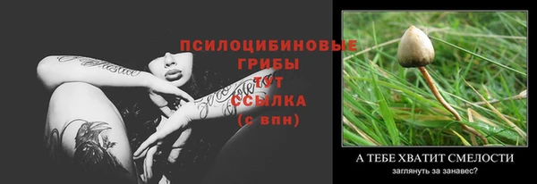 твердый Горняк