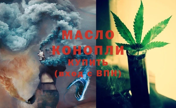 твердый Горняк
