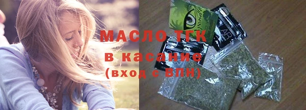 твердый Горняк