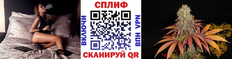 Бошки Шишки тримм  продажа наркотиков  Щучье 